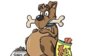 Paradoxul lui: „Dăunează grav sănătății”.