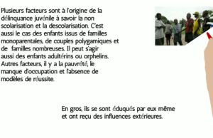Protejat: Delincvența juvenilă franceză. Seminarul Obsrvatorului Național al Delincvenței Juvenile. Anchetă privată (Corepondență de la prof. univ. dr. Thomas CSINTA – atașat de presă al Poliției Capitalei și al Organizației pentru Apărarea Drepturilor Omului – Națiunile Unite în Franța)