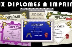 Protejat: Principiul Excluziunii în Educație. Corupție de (mare) anvergură în învățământul universitar francez. Neutralizarea unei rețele de crimă organizată de tip French Connexion, „specializată” în furnizarea de diplome universitare (nivel Master – M2) studenților chinezi! (Corespondență de la prof. univ. dr. Thomas CSINTA – Franța)