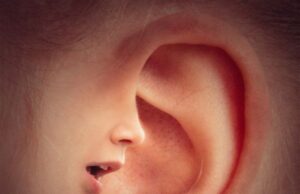 Calitatea vocii interioare