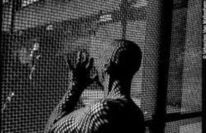 Protejat: Handicapul în mediul carceral (Corespondență de la prof. univ. dr. Thomas CSINTA, atașat de presă al Poliției Capitalei și al OADO – Națiunile Unite – Monitorul Organizaţiei pentru Apărarea Drepturilor Omului – Naţiunile Unite)
