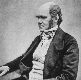 charles-darwin-1_red_compressed