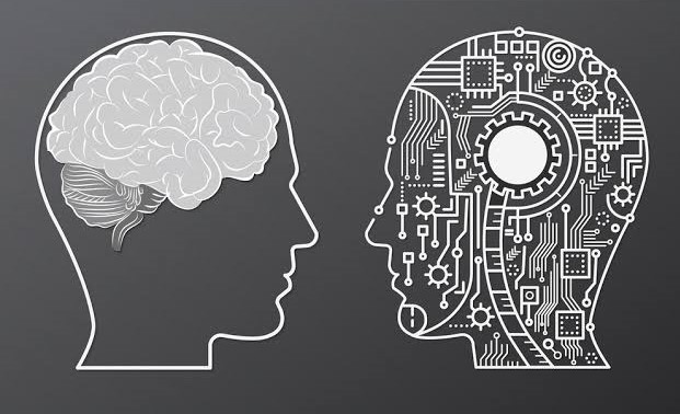 brain-mc.ai_