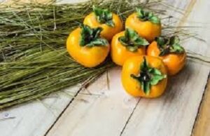 Kaki (Persimmon), fructul zeilor!
