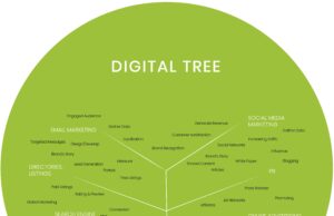 Grupul 2web Software & Services: Strategia de brand, coroborată cu zona de IT ajută un IMM să crească