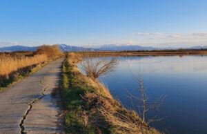 Delta din Carpaţi, paradisul păsărilor