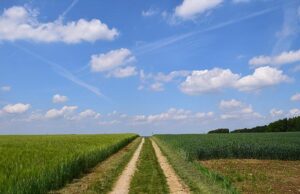 ,,Petardele” din procedurile de achiziție ale CNAIR (Compania Nationala de Administrare a Infrastructurii Rutiere) – „Varianta de ocolire Buftea” (Corespondență de la Grupul Infrastructură)