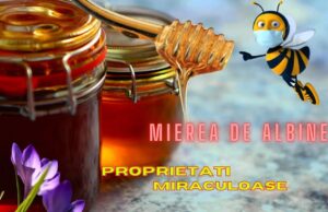 Câteva motive pentru care mierea de albine nu trebuie încălzită sub nicio formă…