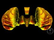 Creierul. Căteva procente epistemice. De la erorile necesare ale antichității la adevărurile fragile ale secolului XXI. Excurs Bibliografic (Corespondență de la prof. dr. Narcis-Stelian Zărnescu, redactorul șef al Revistei Academiei Române „Academica”, secretar științific al Secției X – Filosofie, Teologie și Psihologie a AȘOR – Academia Oamenilor de Știință din România)