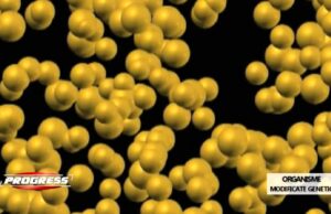 Mâncarea modificată genetic (transgenică) între mit și realitate. Păreri pro și contra în privința comercializării acesteia ca un produs „natural” al ingineriei genetice (al biotehnologiei moderne)