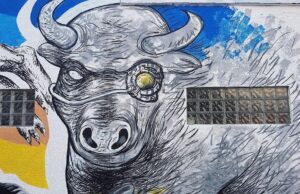 Selective Capital (corespondentul nostru): „Schimbare de retorică în piața de capital. De la inflație la recesiune.”