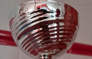 Magazinul cultural – educațional și de cercetare științifică în științele socio – judiciare franco – român „Jurnalul Bucureștiului”, prezent la Festivalul Internaţional de poezie „Mihai Eminescu” de la Getafe (Madrid) și la Institutul Cultural Român de la Madrid, prin intermediul Lector dr. Doina Guriţă (poetă, scriitoare, jurnalistă, traducătoare, membră a Uniunii Scriitorilor din România-filiala Iaşi, membră AJTR, Membră a Societății Poeților și Artiștilor din Franța-SPAF, a asociației „Poeta de Mundo” din Chille), membră în Staff al Jurnalului Bucureștiului