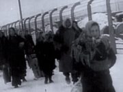 Ziua Internațională împotriva Fascismului și Antisemitismului – O Reafirmare a Drepturilor Omului (Corespondenţă de la Lordul, Amiral Prof. dr. avocat Florentin Scaleţchi, Preşedinte-fondator al Organizaţiei pentru Apărarea Drepturilor Omului – Ecosoc – Naţiunile Unite)