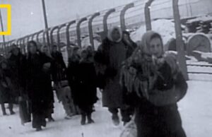 Ziua Internațională împotriva Fascismului și Antisemitismului – O Reafirmare a Drepturilor Omului (Corespondenţă de la Lordul, Amiral Prof. dr. avocat Florentin Scaleţchi, Preşedinte-fondator al Organizaţiei pentru Apărarea Drepturilor Omului – Ecosoc – Naţiunile Unite)