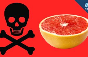 Grapefruit-ul – un fruct hibrid care poate provoaca moartea…