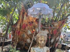 Sufletul lui Mikado sau Scurtă reflecție asupra sensului vieții – cu Jurnalul Bucureștiului (publicație cultural – educațională și științifică franco – română cu caracter academic al CUFR – Centre of French Graduate and Postgraduate advice, education and R&D)