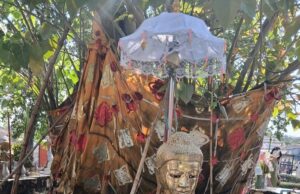 Sufletul lui Mikado sau Scurtă reflecție asupra sensului vieții – cu Jurnalul Bucureștiului (publicație cultural – educațională și științifică franco – română cu caracter academic al CUFR – Centre of French Graduate and Postgraduate advice, education and R&D)