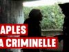 „Diaspora românească – rădăcini și orizonturi. Despre locuirea identității, limbaj și apartenență” – cu Jurnalul Bucureștiului (publicație cultural – educațională și științifică franco – română cu caracter academic al CUFR – Centre of French Graduate and Postgraduate advice, education and R&D). Corespondență de la jurnalista româno-libaneză Anca Cheaito (președinte-fondatatoare a revistei „Orient Românesc” și a asociaţiei „România-Levant”). Elogiu jurnalistului Petru Frăsilă (directorul postului de televiziune M+Tv International)