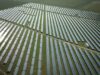 Articol tehnologic bilingv (Bilingual technology article). PPC Renewables România adaugă parcului fotovoltaic Colibași un sistem BESS de 4,47 MW (PPC Renewables Romania adds a 4.47 MW BESS system to the Colibași photovoltaic park) – cu Jurnalul Bucureștiului (publicație cultural – educațională și științifică franco – română cu caracter academic al CUFR – Centre of French Graduate and Postgraduate advice, education and R&D)